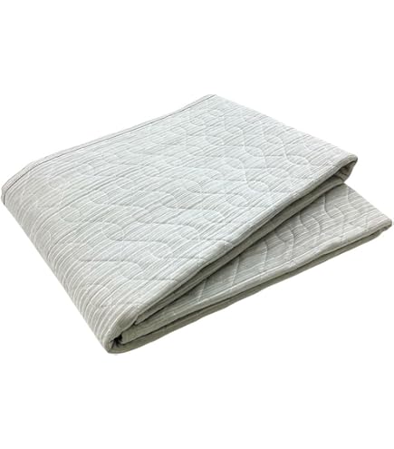 Amazon｜ロマンス小杉 アイスミン EX 麻 敷きパッド (ベージュ